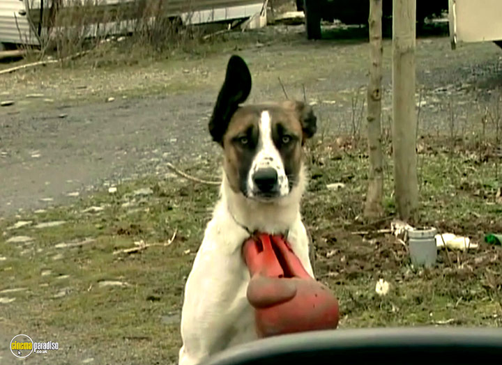 A still #43 from The Gleaners and I (2000)