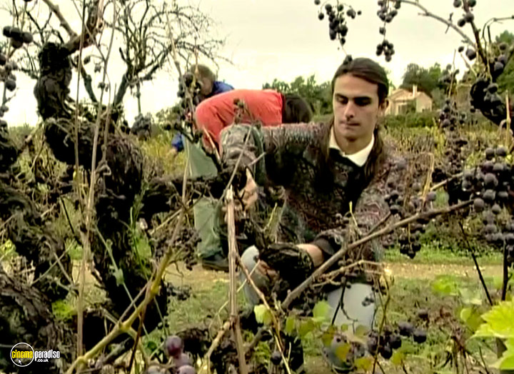 A still #10 from The Gleaners and I (2000)