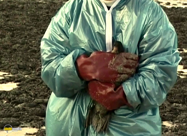 A still #40 from The Gleaners and I (2000)