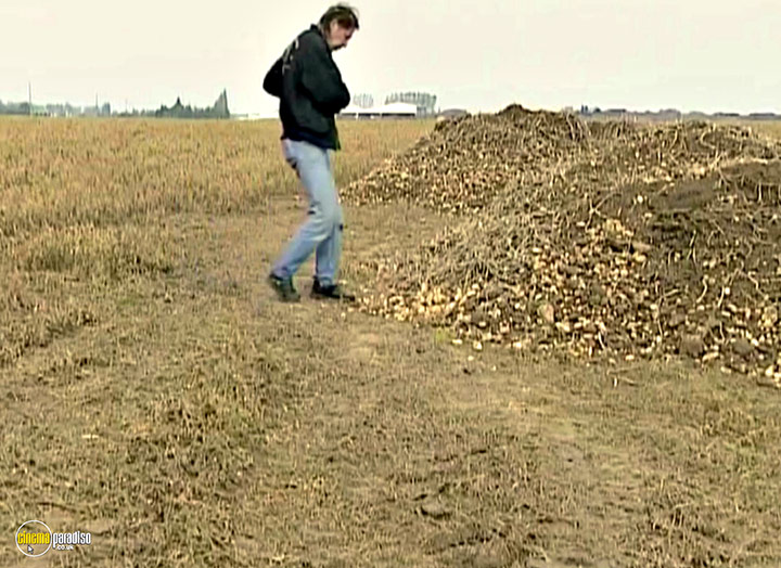A still #16 from The Gleaners and I (2000)