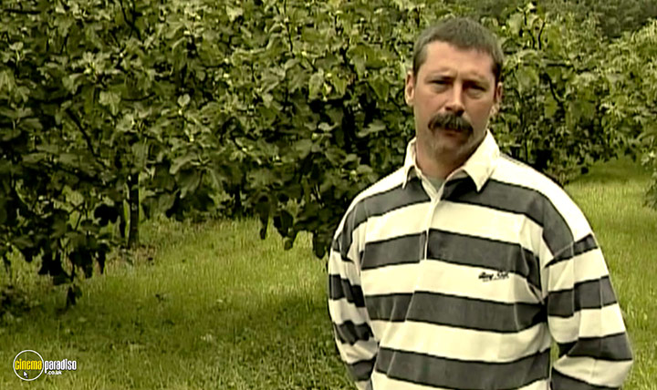 A still #26 from The Gleaners and I (2000)