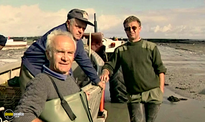A still #30 from The Gleaners and I (2000)