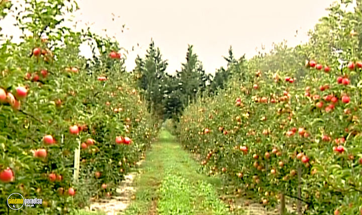 A still #11 from The Gleaners and I (2000)