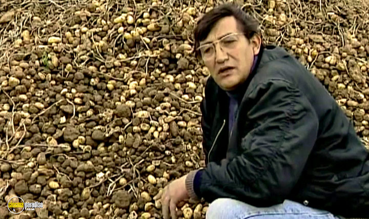 A still #34 from The Gleaners and I (2000)