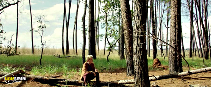 A still #15 from Behind the Trees (2023)