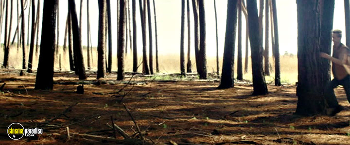 A still #17 from Behind the Trees (2023)