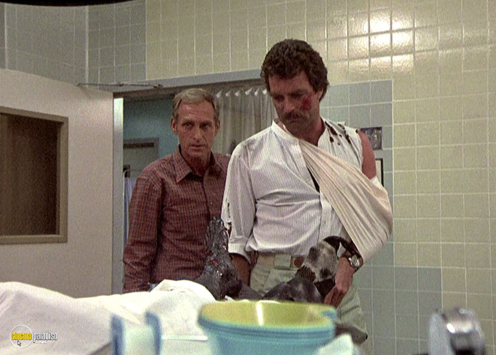 A still #29 from Magnum P.I.: Series 3 (1982)