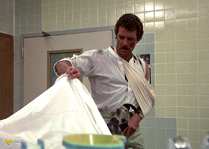 A still #19 from Magnum P.I.: Series 3 (1982)
