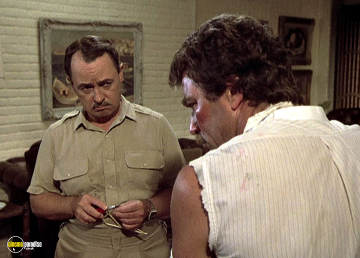 A still #17 from Magnum P.I.: Series 3 (1982)