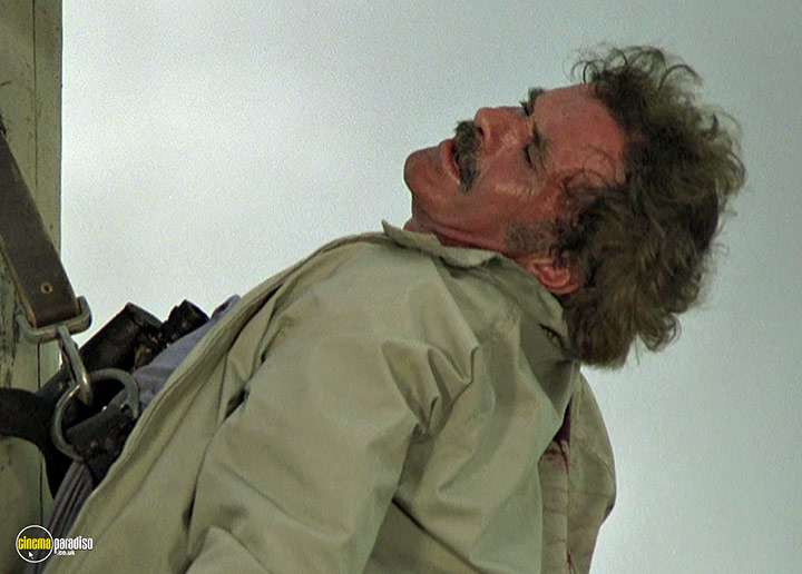 A still #48 from Magnum P.I.: Series 3 (1982)