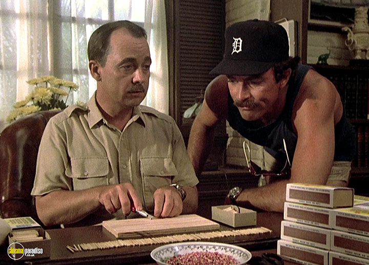A still #37 from Magnum P.I.: Series 3 (1982)