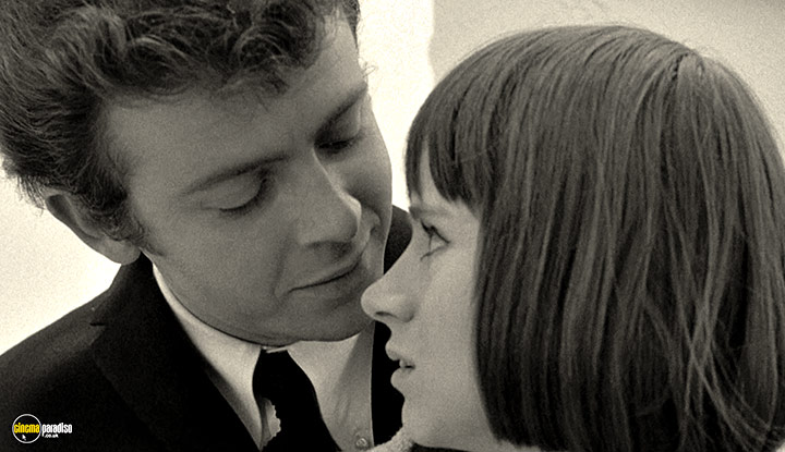 A still #61 from The Knack and How to Get It (1965)