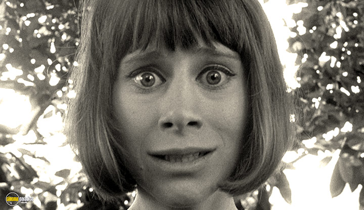A still #78 from The Knack and How to Get It (1965)