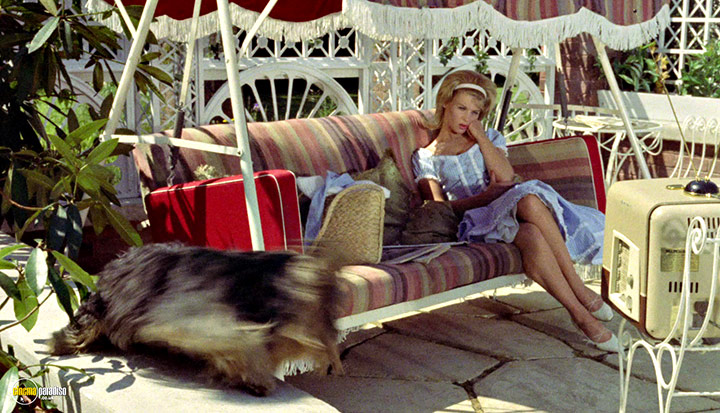 A still #57 from The Fast Lady (1962)