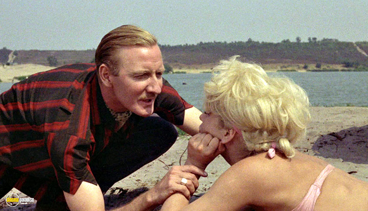 A still #64 from The Fast Lady (1962)
