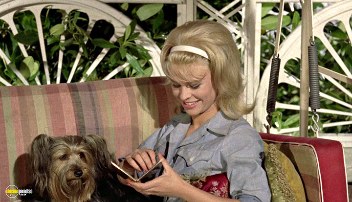 A still #87 from The Fast Lady (1962)