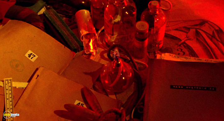 A still #19 from The Madness of the Dance (2006)