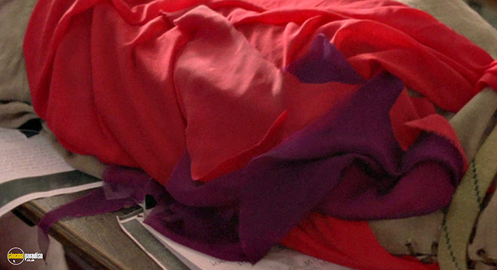 A still #38 from The Madness of the Dance (2006)