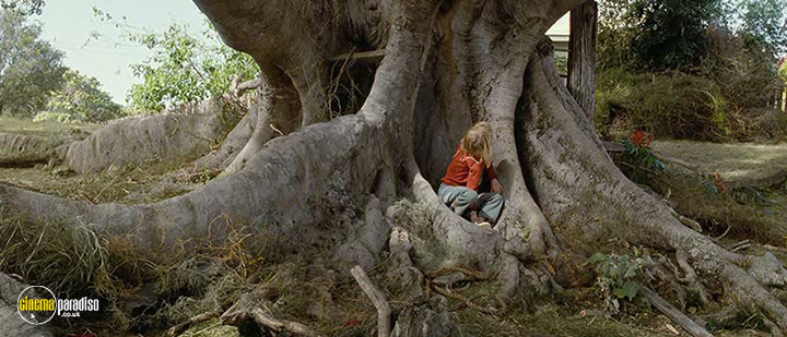 A still #1 from The Tree (2010)