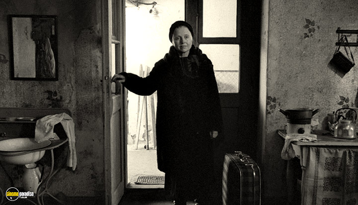 A still #17 from Werckmeister Harmonies (2000)