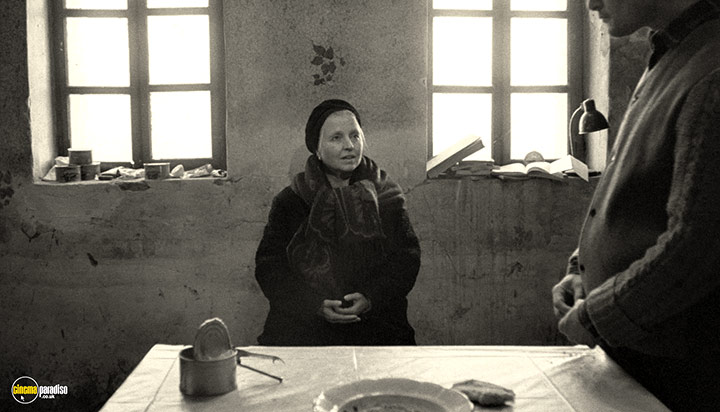 A still #18 from Werckmeister Harmonies (2000)