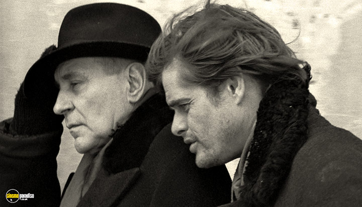 A still #23 from Werckmeister Harmonies (2000)