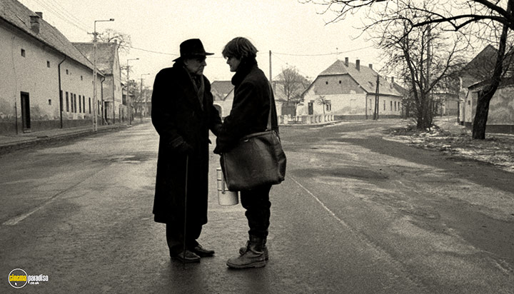 A still #27 from Werckmeister Harmonies (2000)