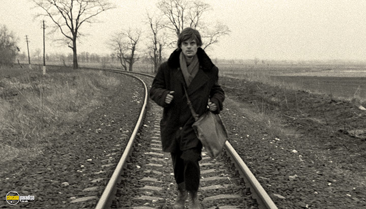 A still #41 from Werckmeister Harmonies (2000)