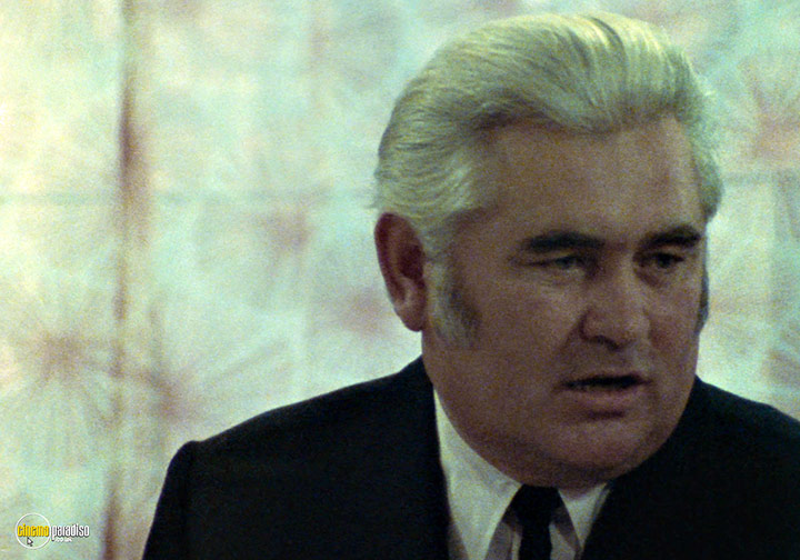 A still #10 from The Outsider (1981)