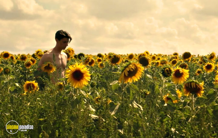 A still #1 from Sunflower (2023)