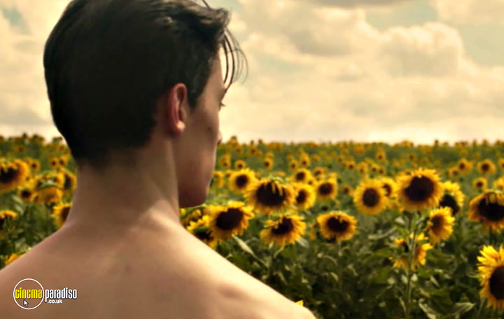 A still #99 from Sunflower (2023)