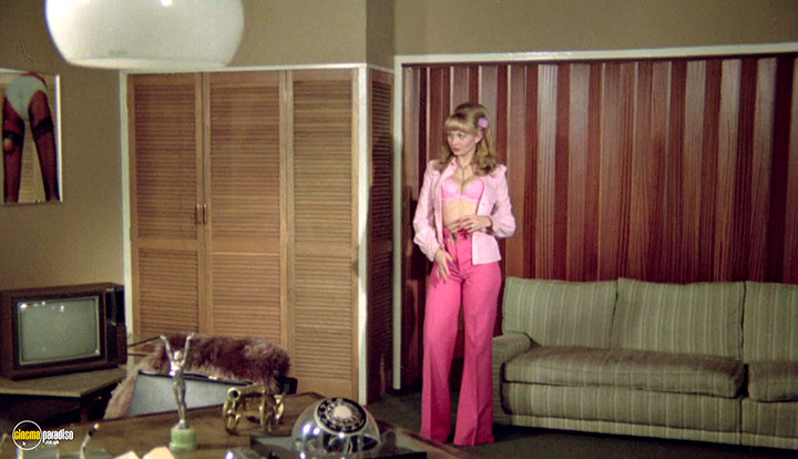 A still #113 from The Playbirds (1978)