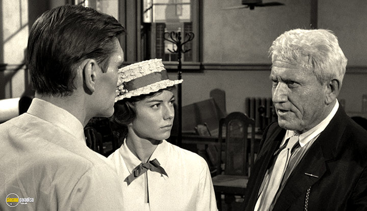 A still #21 from Inherit the Wind (1960)