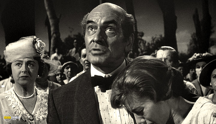 A still #24 from Inherit the Wind (1960)