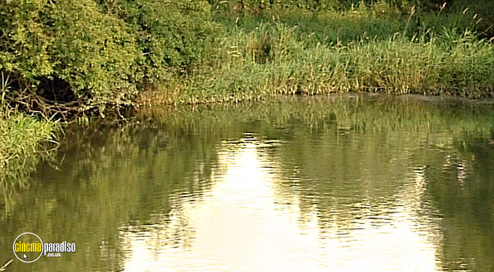 A still #15 from Thames Wildlife: Superhighway (2007)