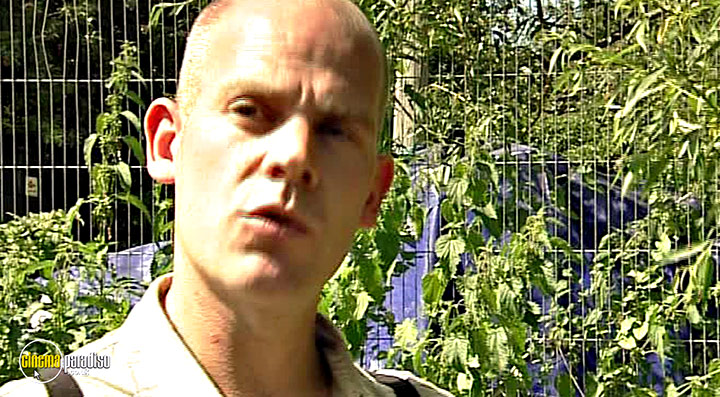A still #3 from Thames Wildlife: Superhighway (2007)