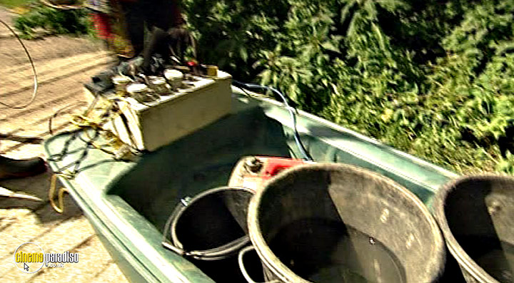 A still #16 from Thames Wildlife: Superhighway (2007)