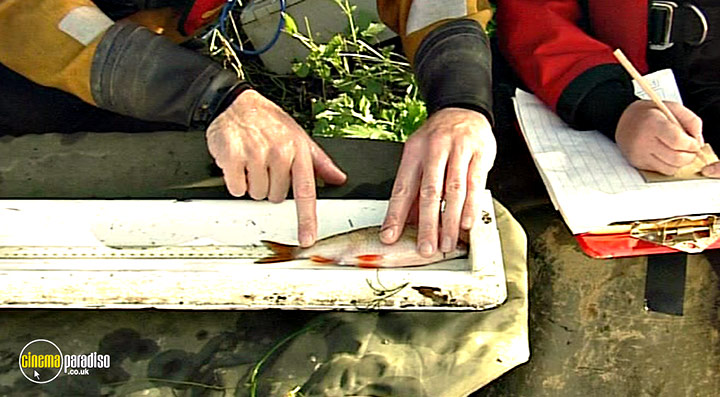 A still #29 from Thames Wildlife: Superhighway (2007)