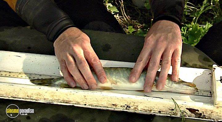 A still #32 from Thames Wildlife: Superhighway (2007)