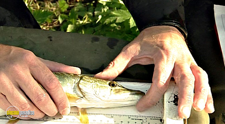 A still #33 from Thames Wildlife: Superhighway (2007)