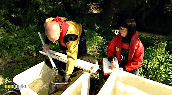 A still #35 from Thames Wildlife: Superhighway (2007)