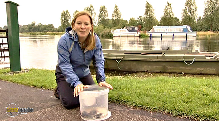 A still #37 from Thames Wildlife: Superhighway (2007)