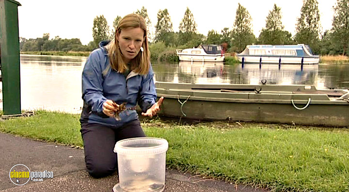 A still #48 from Thames Wildlife: Superhighway (2007)