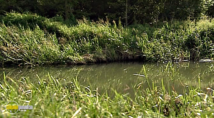 A still #63 from Thames Wildlife: Superhighway (2007)