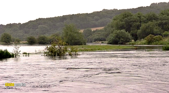 A still #67 from Thames Wildlife: Superhighway (2007)