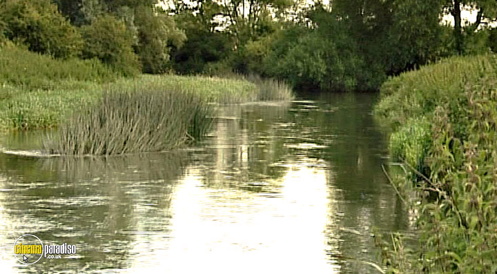 A still #71 from Thames Wildlife: Superhighway (2007)