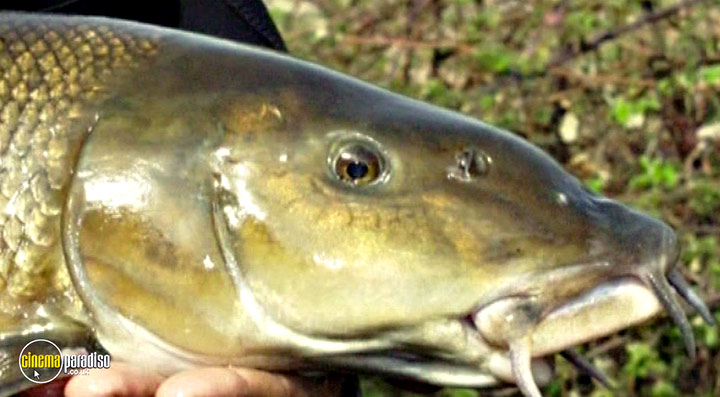 A still #73 from Thames Wildlife: Superhighway (2007)