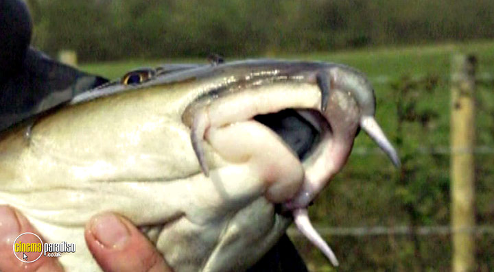 A still #75 from Thames Wildlife: Superhighway (2007)