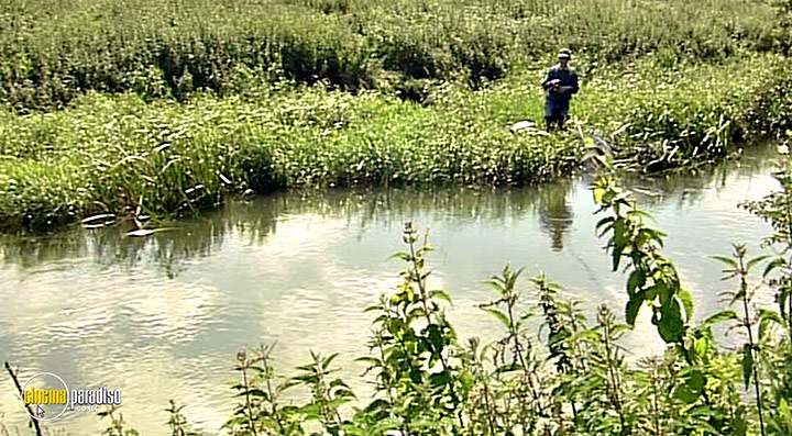 A still #77 from Thames Wildlife: Superhighway (2007)