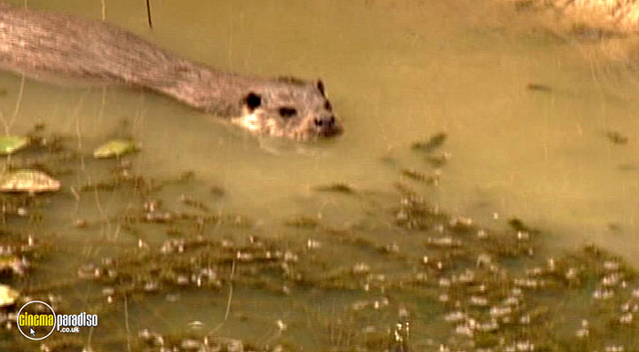 A still #94 from Thames Wildlife: Superhighway (2007)